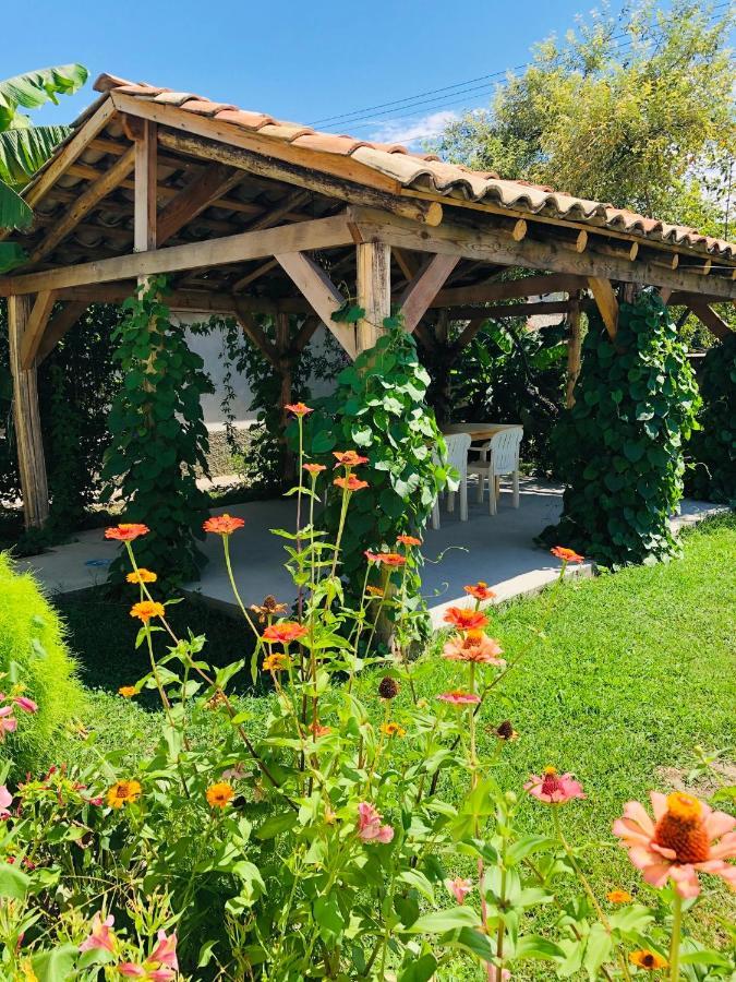 ,,Anna'S" Guesthouse K'vemo Alvani Exterior foto